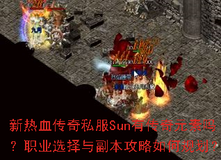 Ѫ˽SunдԪְҵѡ븱ι滮