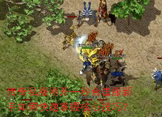 传奇私服刚开一秒合击服新手如何快速掌握核心技巧? 传奇私服刚开一秒合击服新手如何快速掌握核心技巧?