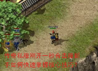 ����˽���տ�һ��ϻ���������ο������պ��ļ��ɣ�