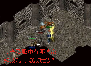 传奇私服中有哪些必知技巧与隐藏玩法? 传奇私服中有哪些必知技巧与隐藏玩法?