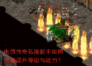 ���Ŵ���˽��������ο��������ȼ���ս����