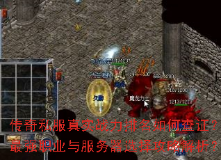 ����˽����ʵս��������β�֤����ǿְҵ�������ѡ���Խ�����