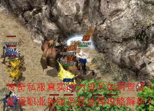 ����˽����ʵս��������β�֤����ǿְҵ�������ѡ���Խ�����