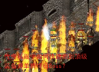 ����˽������ο���ˢ������װ���������ռ�Boss��