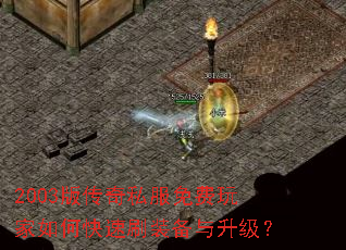 2003�洫��˽����������ο���ˢװ����������