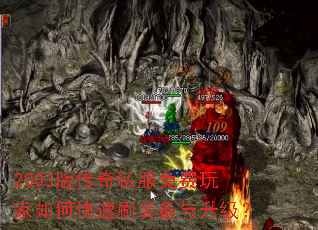 2003�洫��˽����������ο���ˢװ����������