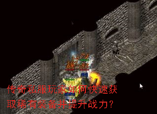 ����˽�������ο��ٻ�ȡϡ��װ��������ս����