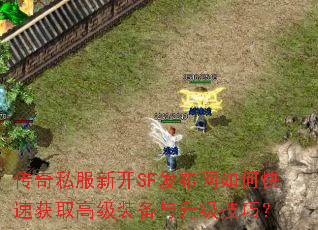 ����˽���¿�SF��������ο��ٻ�ȡ�߼�װ�����������ɣ�