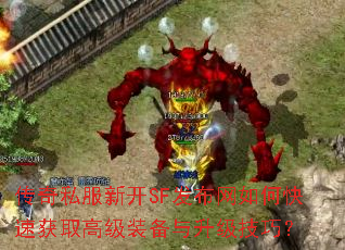 ����˽���¿�SF��������ο��ٻ�ȡ�߼�װ�����������ɣ�