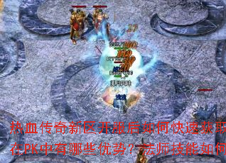 ��Ѫ����������������ο��ٻ�ȡ����װ����սʿְҵ��PK������Щ���ƣ���ʦ������δ���Ч����ѣ�