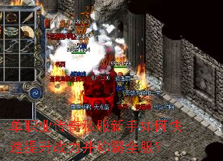 ��ְҵ����˽��������ο�������ս�����ư�ȫ����