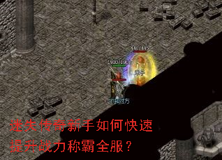 迷失传奇新手如何快速提升战力称霸全服? 迷失传奇新手如何快速提升战力称霸全服?