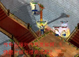 ����˽���⴫������ο��������뼼�ܴ��䣿