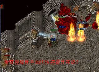 �����ѷ�������ο��������ȼ���