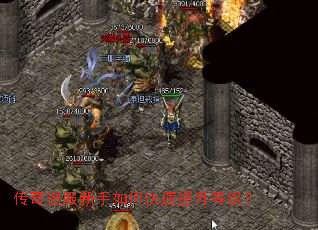 �����ѷ�������ο��������ȼ���