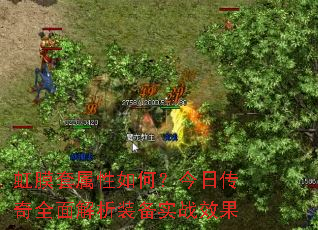 ��Ĥ��������Σ����մ���ȫ�����װ��ʵսЧ��