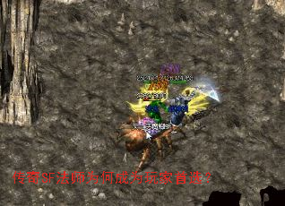 ����SF��ʦΪ�γ�Ϊ�����ѡ��