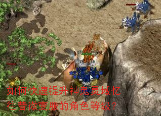 ��ο��������������������΢����Ľ�ɫ�ȼ���