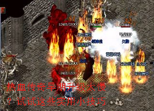 ��Ѫ������������̫����������Щʵ��С����