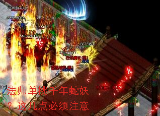 ��ʦ����ǧ���������⼸�����ע��