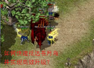 ��ο��ٵִ���µ���ʵ�ָ�Ч������