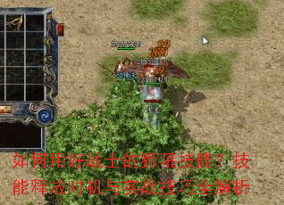 ����ú�սʿ��ʨ���ܣ������ͷ�ʱ����ʵս����ȫ����