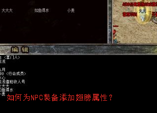 如何为NPC装备添加翅膀属性? 如何为NPC装备添加翅膀属性?