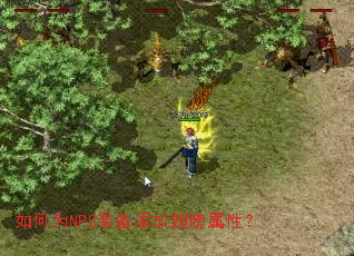 如何为NPC装备添加翅膀属性? 如何为NPC装备添加翅膀属性?