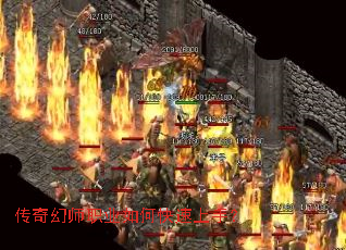 �����ʦְҵ��ο������֣�