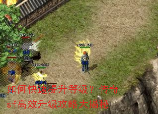 ��ο��������ȼ�������sf��Ч�������Դ����