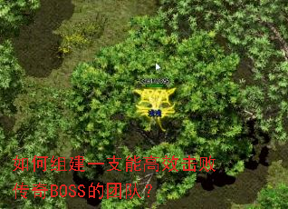 如何组建一支能高效击败传奇BOSS的团队? 如何组建一支能高效击败传奇BOSS的团队?