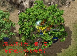 ����VS���죺˭���Ǵ���˽���ռ������