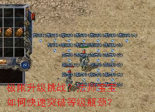 ����������ս����ʦ������ο���ͻ�Ƶȼ�ƿ����