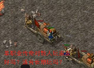 ��ְҵ�����ɢ������Ѻ����ʺϳ�������