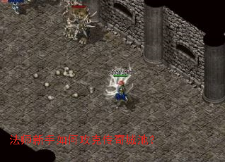 ��ʦ������ι��˴���ǳأ�