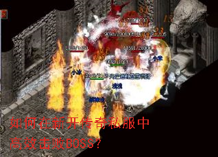 ������¿�����˽���и�Ч����BOSS��