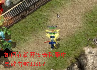 ������¿�����˽���и�Ч����BOSS��