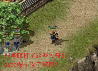 ����Ϲ������Щ����BOSS�ı������˽���