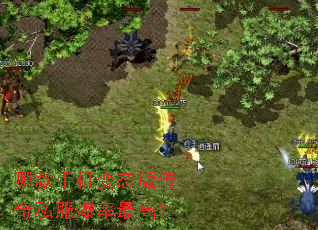 哪款手机变态版传奇私服爆率最高? 哪款手机变态版传奇私服爆率最高?