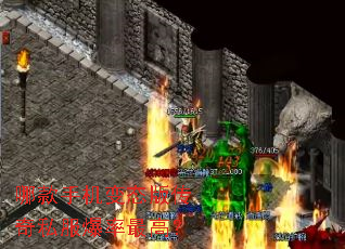 �Ŀ��ֻ���̬�洫��˽��������ߣ�