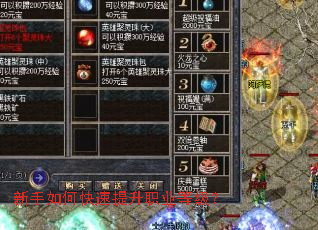 ������ο�������ְҵ�ȼ���