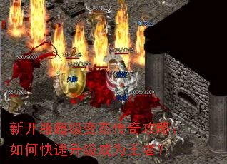 �¿���������̬���湥�ԣ���ο���������Ϊ���ߣ�