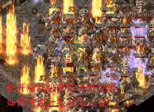 �¿���������̬���湥�ԣ���ο���������Ϊ���ߣ�