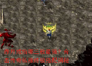 ���½�ָ����ö��ǿ���ϻ�����˽���ռ��������