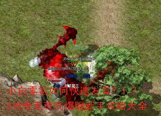 С�������ο��ٷ�����1.76��������߱������ֹ��Դ�ȫ