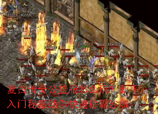 ���Ŵ��湫�����ô�棿���������ؼ�������ٳư�ɳ��