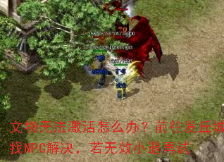 �����޷�������ô�죿ǰ���������NPC���������ЧС������