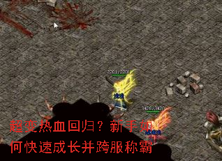 ������Ѫ�ع飿������ο��ٳɳ�������ư�