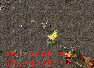 ����ҵ�����̬��ʧ���Ŵ����еľ������أ�