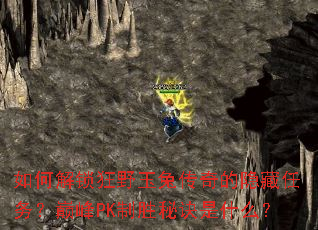 如何解锁狂野玉兔传奇的隐藏任务?巅峰PK制胜秘诀是什么? 如何解锁狂野玉兔传奇的隐藏任务?巅峰PK制胜秘诀是什么?